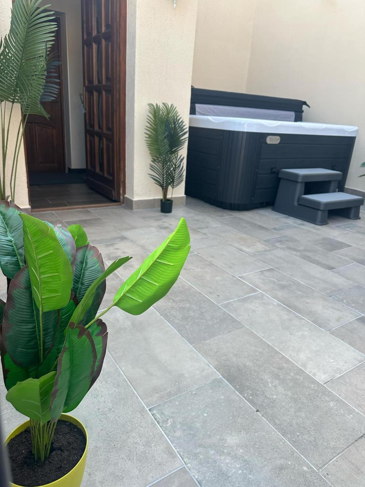 Ven Diofa De Lux Panzio Bed & Breakfast Seghedin Exterior foto