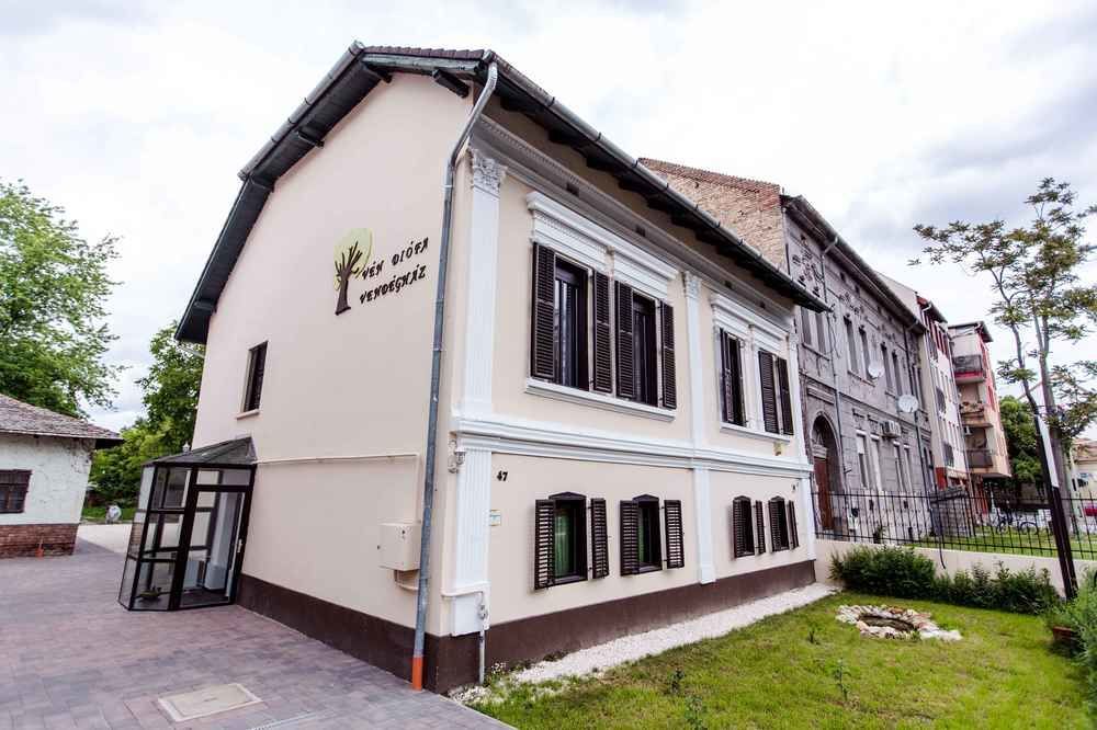 Ven Diofa De Lux Panzio Bed & Breakfast Seghedin Exterior foto